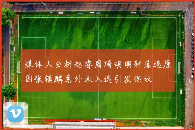 媒体人分析赵睿周琦胡明轩落选原因张镇麟意外未入选引发热议
